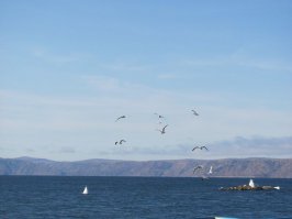 Друзья продолжаю свой рассказ об озере Байкал Листвянка, исток Ангары