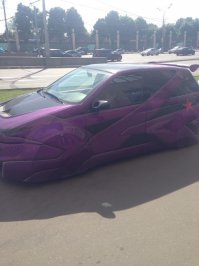 вот такой экземпляр по дороге попался