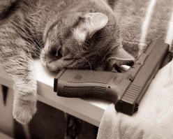 Подборка всячины