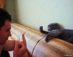 Фотоподборка за 05.06.2015