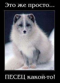 Веселые и креативные раскраски для взрослых