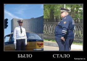 10 примеров мотивации от животных