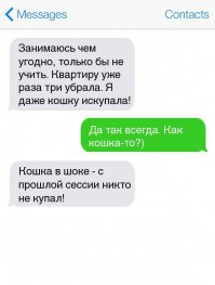 больше всех сессию ненавидят КОШКИ!!!