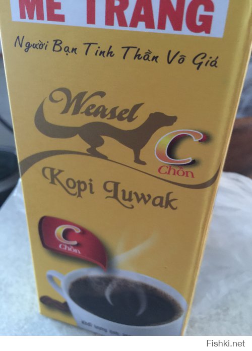 Кофе из какашек мусанги - один из самых дорогих кофе в мире