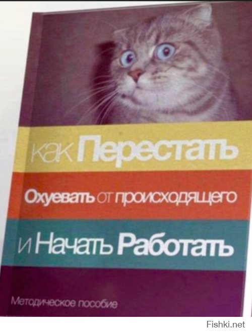  Как выглядит судьба