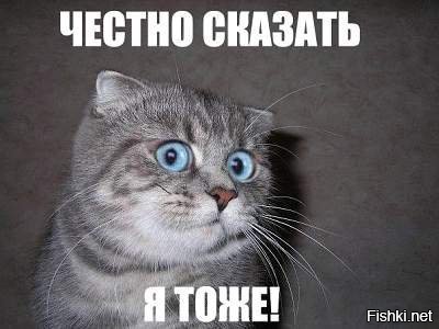  Как выглядит судьба
