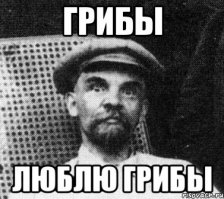 Волшебный мир грибов от Вячеслава Мищенко