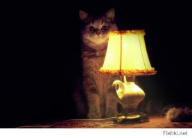  Как выглядит судьба