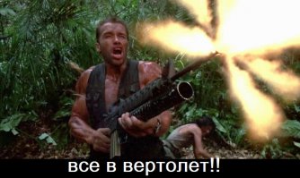 Найди животное: увлекательные снимки мастеров маскировки