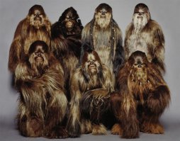 Никогда не расстраивай Вуки!(Хан Соло)

Вуки (Wookiee) — шерстяные гиганты с планеты Кашиик (Kashyyyk). Самый известный из них — Чубака, компаньен Хана Соло.
Планета Кашиик представляет собой гигантские джунгли, чем ближе к земле, тем они гуще и опаснее. Вуки живут наверхних уровнях леса и строят свои города в переплетениях деревьев.
Вуки примитивный вид, но он легко уживается с передовыми технологиями. Они разработали уникальное оружие боукастер (bowcaster), это лазерный арбалет, при этом Вуки легко пользуются и другим оружием. Города Кашиика являются главными поставщиками компьютерных комплектующих в Новой Республике.
Взрослые Вуки достигают роста более 2 метров и живут несколько столетий. У них очень развиты регенеративные способности, что позволяет им быстро оправиться от серьезных ран. Вуки могут понимать чужие языки, но особенность строения речевого аппарата не позволяет им говорить на чужих языках.
Одна из самых известных традиций Вуки, это жизненный долг. Если кто-то спасет от смерти Вуки, то часто они посвещают свою жизнь своему спасителю. Например, Чубака обязан жизнью Хану Соло.