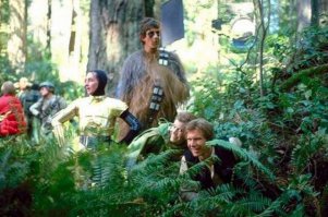 Никогда не расстраивай Вуки!(Хан Соло)

Вуки (Wookiee) — шерстяные гиганты с планеты Кашиик (Kashyyyk). Самый известный из них — Чубака, компаньен Хана Соло.
Планета Кашиик представляет собой гигантские джунгли, чем ближе к земле, тем они гуще и опаснее. Вуки живут наверхних уровнях леса и строят свои города в переплетениях деревьев.
Вуки примитивный вид, но он легко уживается с передовыми технологиями. Они разработали уникальное оружие боукастер (bowcaster), это лазерный арбалет, при этом Вуки легко пользуются и другим оружием. Города Кашиика являются главными поставщиками компьютерных комплектующих в Новой Республике.
Взрослые Вуки достигают роста более 2 метров и живут несколько столетий. У них очень развиты регенеративные способности, что позволяет им быстро оправиться от серьезных ран. Вуки могут понимать чужие языки, но особенность строения речевого аппарата не позволяет им говорить на чужих языках.
Одна из самых известных традиций Вуки, это жизненный долг. Если кто-то спасет от смерти Вуки, то часто они посвещают свою жизнь своему спасителю. Например, Чубака обязан жизнью Хану Соло.