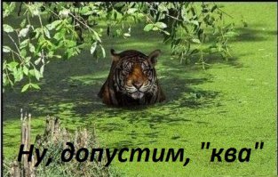 Найди животное: увлекательные снимки мастеров маскировки