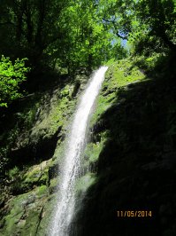 чем Сочи хуже?