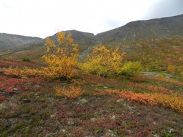 А мы когда были тишиной и не пахло, девять дней там прожили и все девять дней ветер был нереальный, и днем и ночью. Первый день сложно было уснуть из-за постоянного трепыхания палаток, потом ничего, привыкли, места там обалденные)