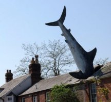 Самые необычные осадки