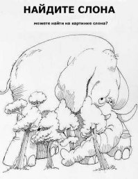 Найди животное: увлекательные снимки мастеров маскировки