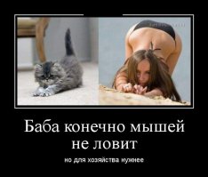 31 причина обменять жену на кошку