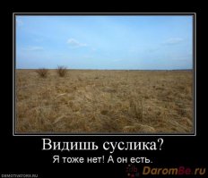 Найди животное: увлекательные снимки мастеров маскировки