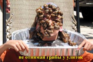 Волшебный мир грибов от Вячеслава Мищенко