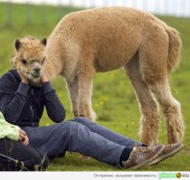 Показалось