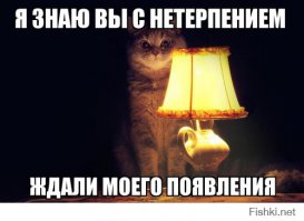  Российский стартапер сделал нигерийского мошенника беднее на 600 долларов