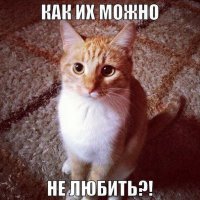 Это рисунки, выполненные обыкновенным карадашом