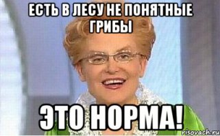 Волшебный мир грибов от Вячеслава Мищенко