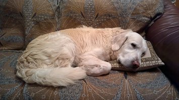 А вот "приключения" моего...