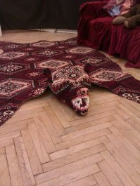 Мне вот эта понравилась:)