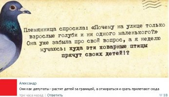 30 птичьих гнёзд в самых неожиданных местах