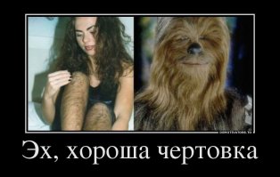 Хан Соло и Чубакка: начало