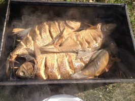 Рыбка с р. Вуоксы, Лен. Обл., г. Приозерск  неделю назад.