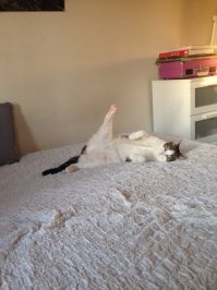 Фотоподборка за 08.06.2015