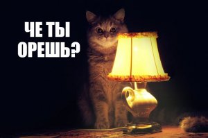 Сожительствую с тремя мужчинами