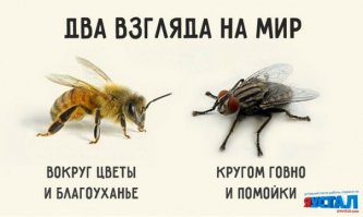 Патриотизм не бывает искусственно насаждаемым и тем более, не имеет ничего общего с тупостью и серостью...
--------------------------------
Чемпион мира это тупость и серость? И этого нужно стесняться? Ты уже сам чего успел добиться? Или ты как сам признался - твоя цитата "Никто с нами не воюет и никому мы нах не нужны со своими псевдоимперскими замашками...".  Вы и такие как-вы аще нах никому не нужны. Чемпион мира фигня, мост построили - маленький и дорого, 85 ракет запустили - ой так две упали. Картинка есть хорошая, характеризующая таких как-ты.