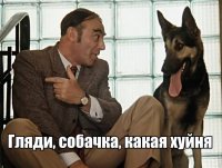 21 причина, почему рыжие парни являются Богами среди мужчин