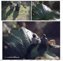 лучшее имхо. 
Но Божеством не пахнет. 
сопипаст обычный.