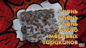 Не думаю,что какой-нибудь владелец "срежиссировал" грязь,вонь и тараканов.