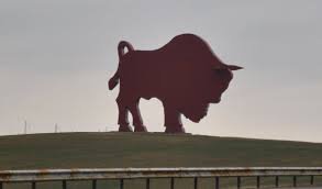 Мощный и красивый Беловежский ЗУБР