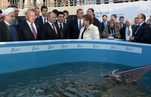 Специально для тупых гламурных ху/есосных москальских уё/бков: «Тебе му/дак, уже «Казанский троль» ответил, что это РАЗВЕДЕННЫЙ осетр «сами развели, сами съели».  Согласно моратория «Вылов осетровых будет осуществляться только в научно-исследовательских целях и для искусственного воспроизводства». Не знаешь, что это такое вот посмотри. А если добиваешься, чтобы тебя на производство свозили и икрой накормили – да ху/й тебе жри белковую крашеную.