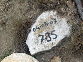 Ступенек там сейчас ровно 785, желающие могут пересчитать)) При строительстве лестницы их было 988 (в 988 году князь Владимир крестил Русь). 
спуститься вниз нет абсолютно никаких проблем, на пути когда то были оборудованы площадки и скамеечки, можно посидеть и отдохнуть, если что. но вот подниматься обратно - приключение не из приятных, лучше воспользоваться регулярным катером до Балаклавы.