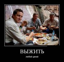 Да не смотрите вы так, я этих мужиков и хавчик в лесу нашел.