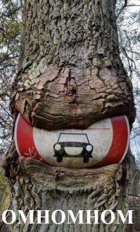 Подборка автоприколов. Часть 229