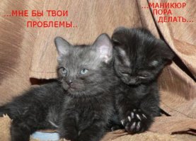 Девушки хотели сделать красивый маникюр, а получили это