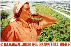 Сюрприз не удался