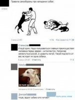Как спастись при нападении смертельно опасных животных