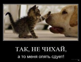 Подборка демотиваторов 