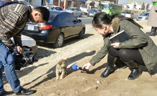 Рискуют ребята...