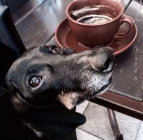 Мы тоже любим бодрящий кофе с утра)))