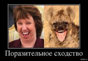 25 примеров забавного и неожиданного сходства